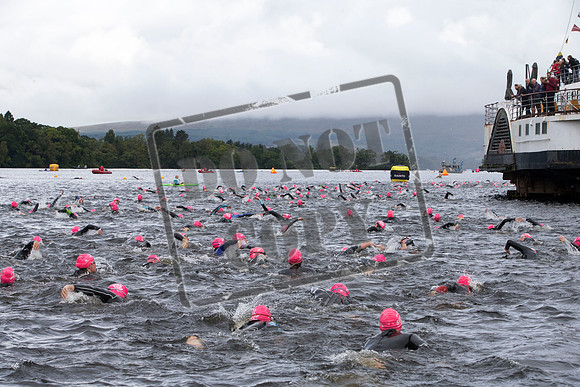 Great Swim