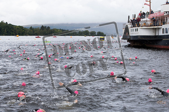 Great Swim