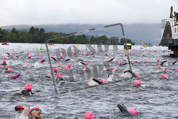 Great Swim
