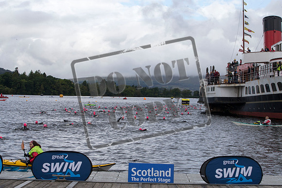 Great Swim