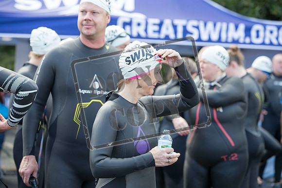 Great Swim