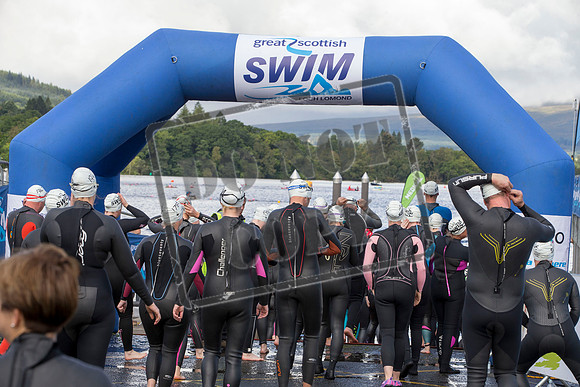 Great Swim