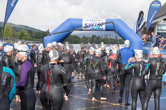 Great Swim