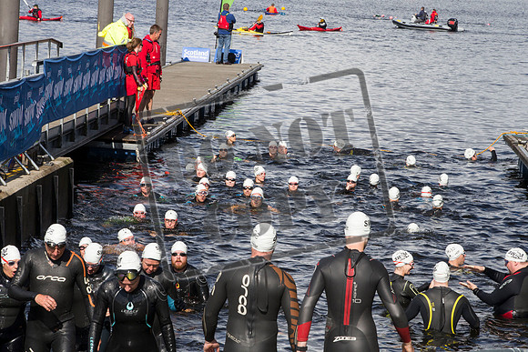 Great Swim