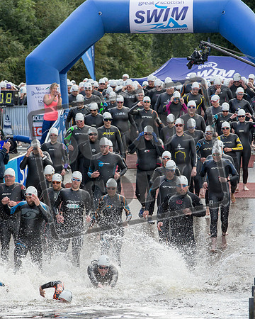 Great Swim