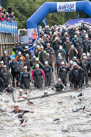 Great Swim