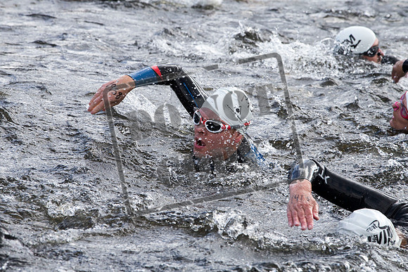 Great Swim