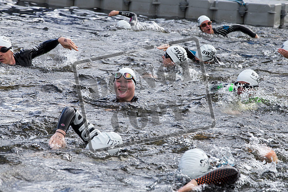 Great Swim