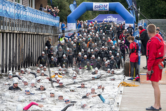 Great Swim