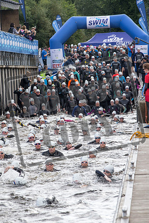 Great Swim