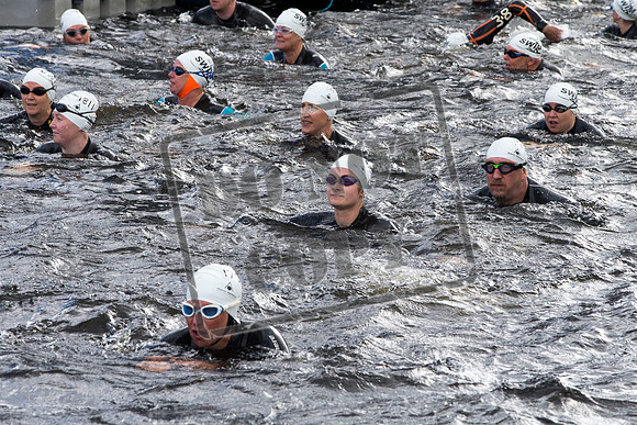 Great Swim