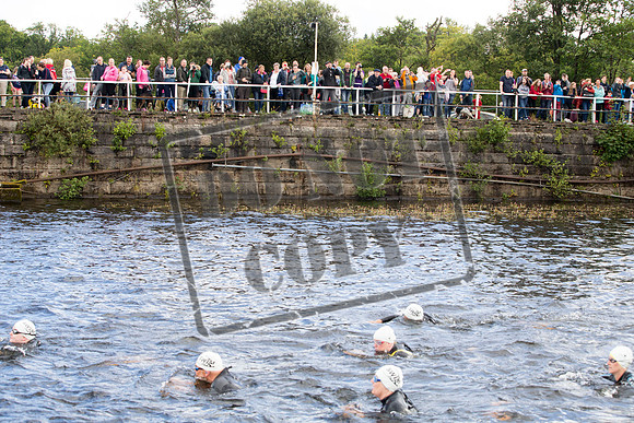 Great Swim