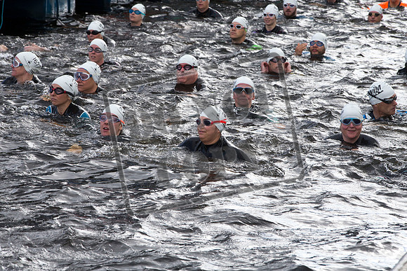 Great Swim