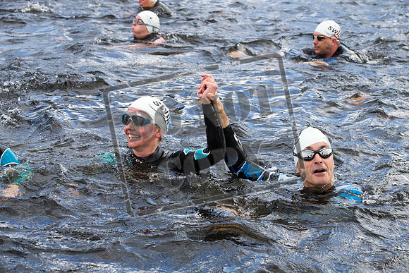 Great Swim