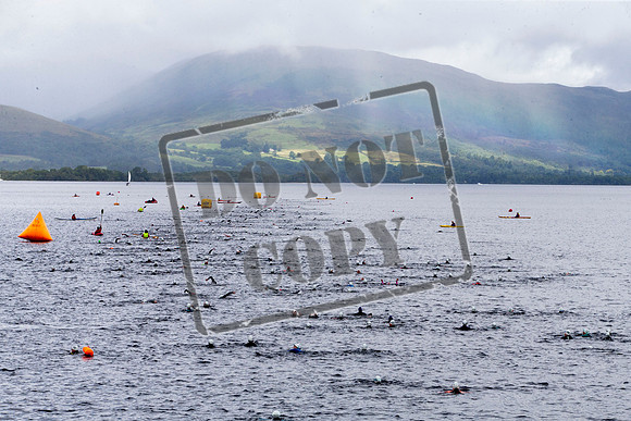 Great Swim