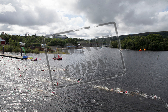 Great Swim