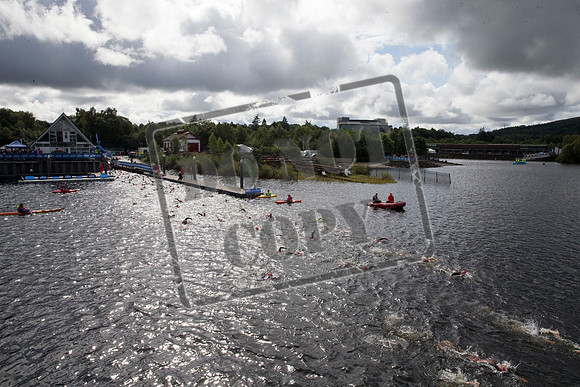 Great Swim