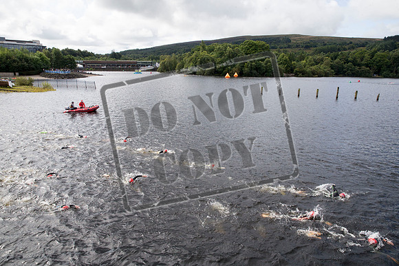 Great Swim