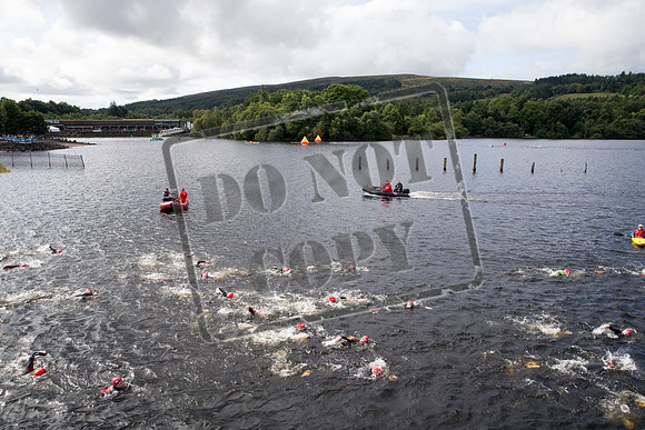 Great Swim