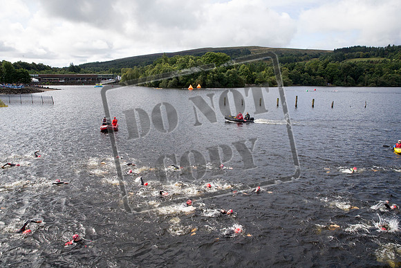 Great Swim