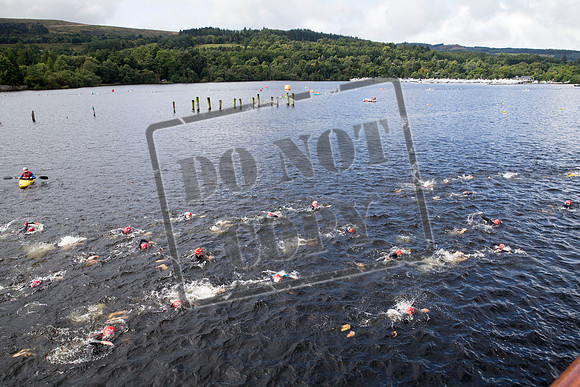 Great Swim