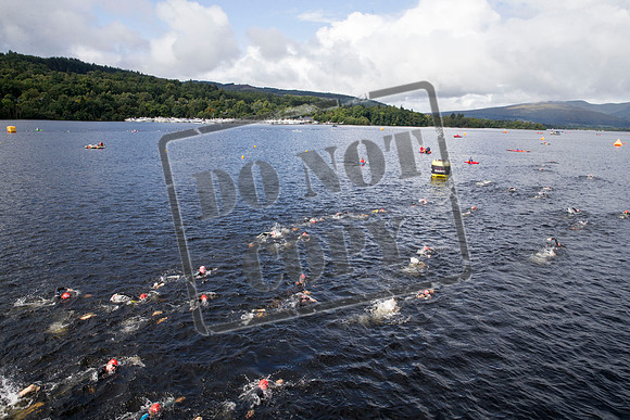 Great Swim