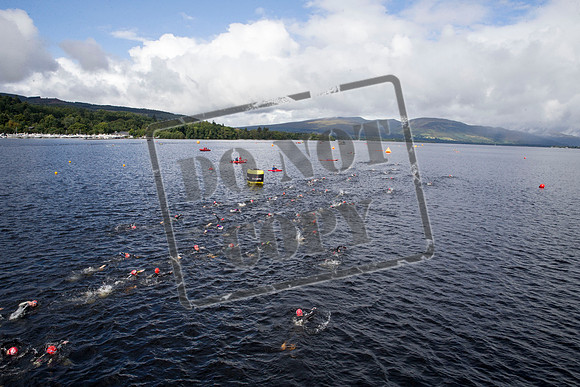 Great Swim