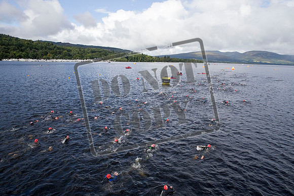 Great Swim
