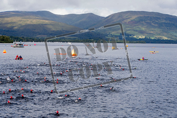 Great Swim