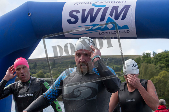 Great Swim