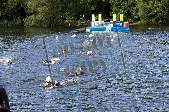 Great Swim