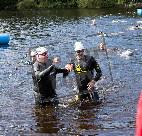 Great Swim