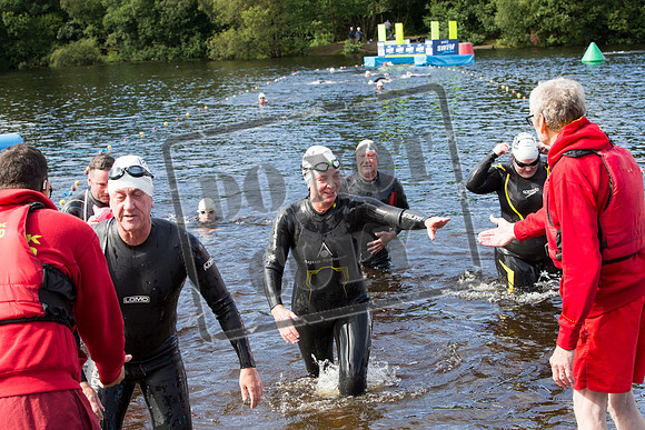 Great Swim