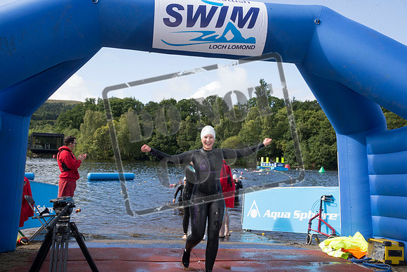Great Swim