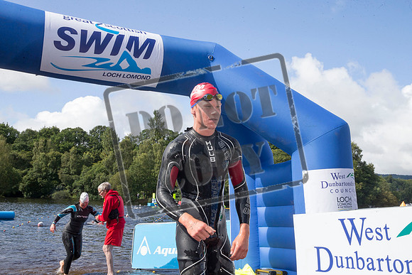 Great Swim
