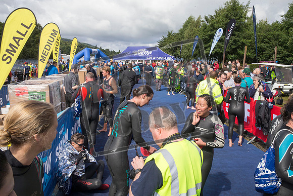 Great Swim