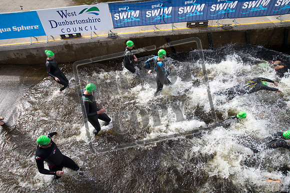 Great Swim