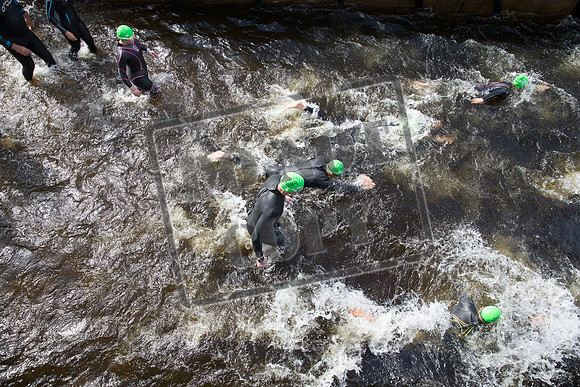 Great Swim