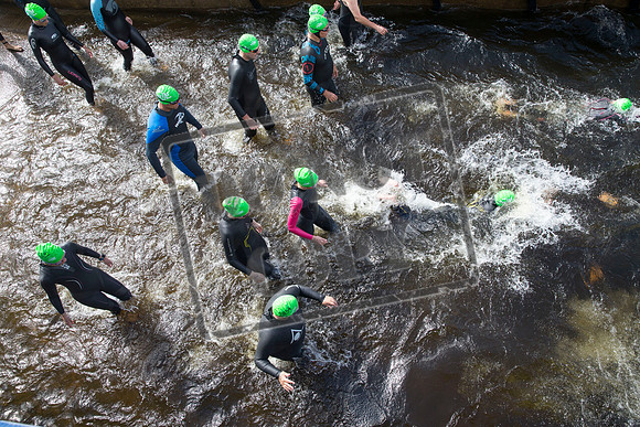 Great Swim