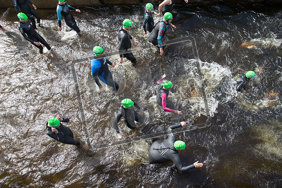 Great Swim