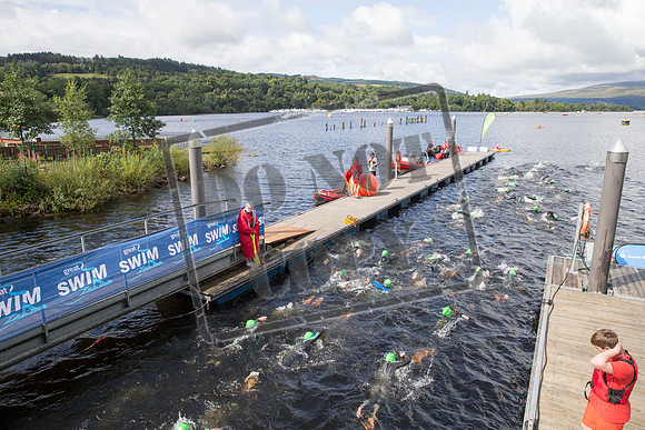 Great Swim