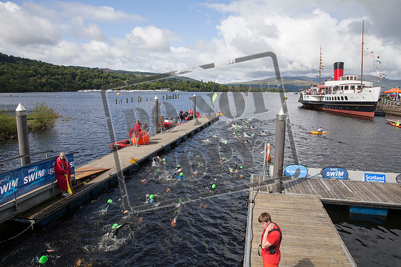 Great Swim