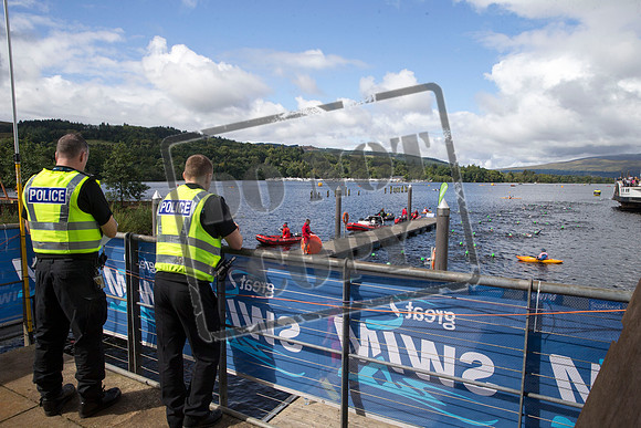 Great Swim