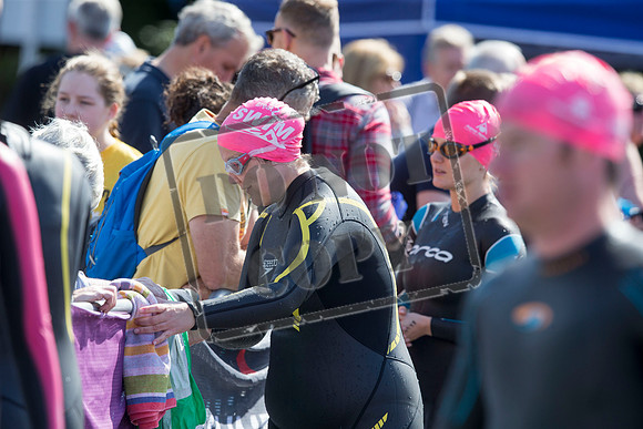 Great Swim