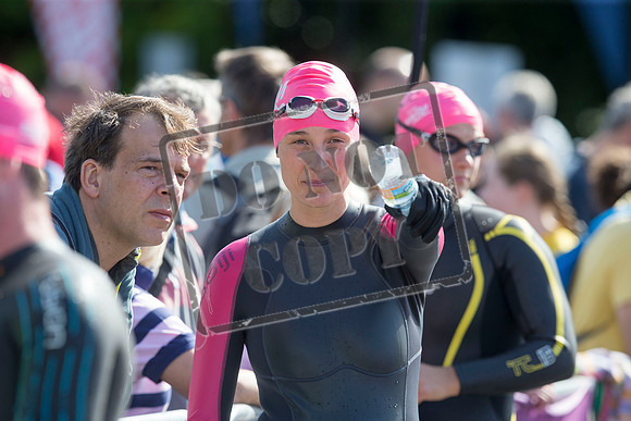 Great Swim