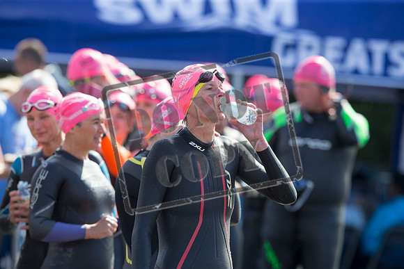 Great Swim