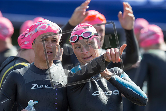 Great Swim