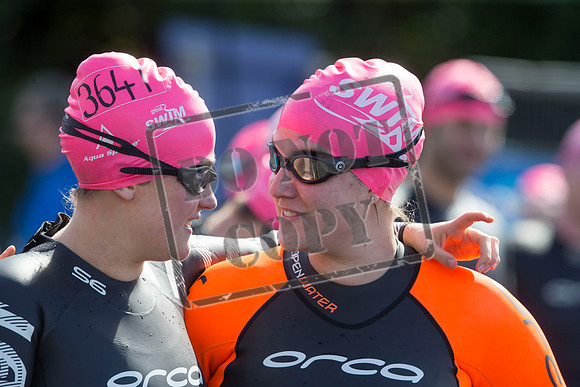 Great Swim
