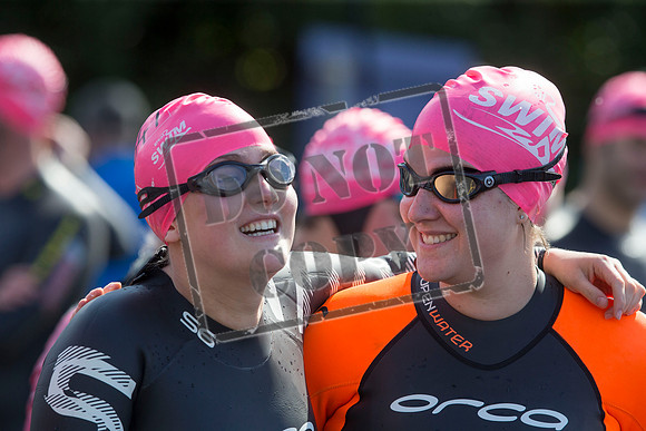Great Swim