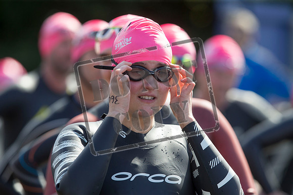 Great Swim